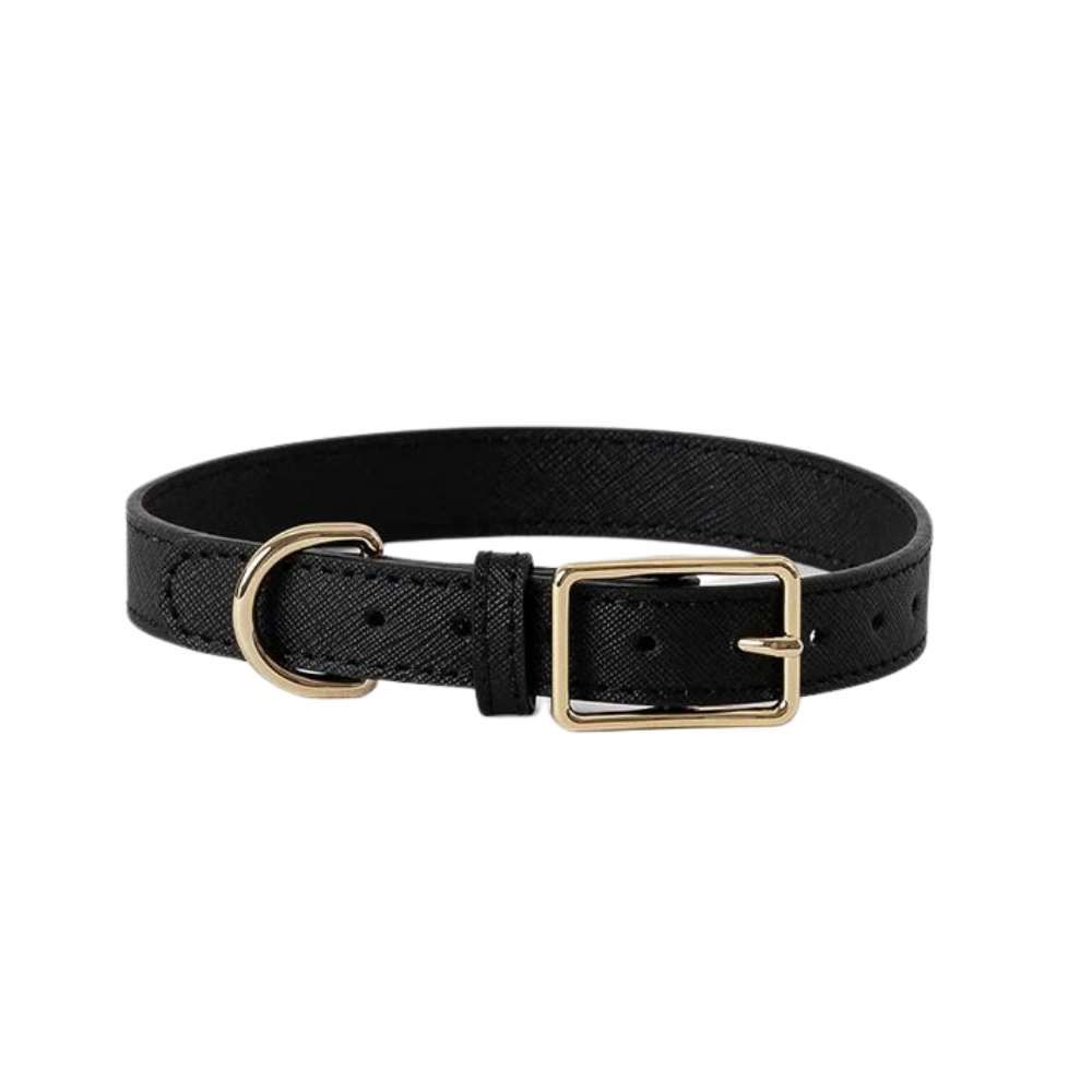 mister-woof-classic-leather-dog-collar-black-pets-of-ponsonby