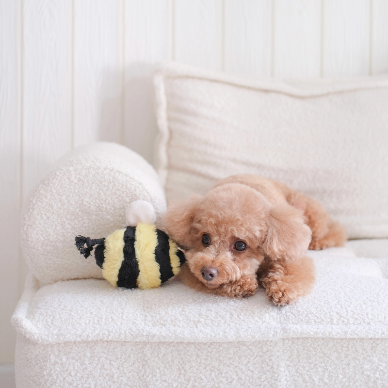 Bee Pop Enrichment Dog Toy
