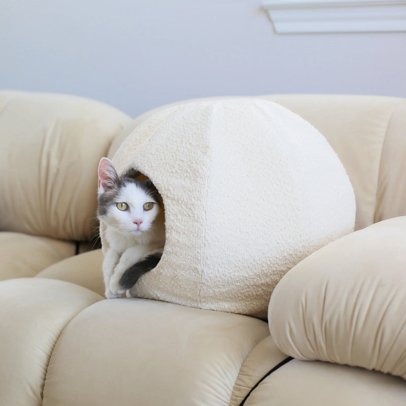 Moon cat cave