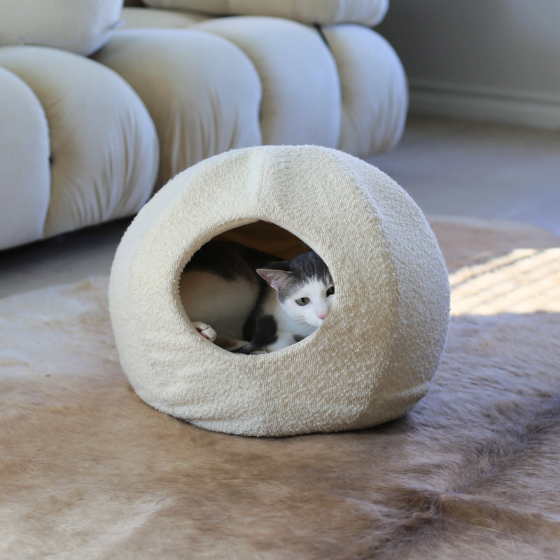 Moon cat cave