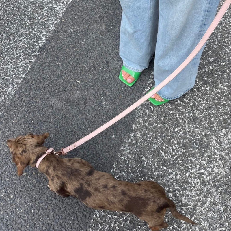 Pale Pink Dog Lead